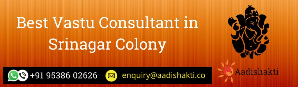 Best Vastu Consultant in Srinagar Colony